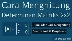 Cara-Menghitung-Determinan-Matriks-2x2 Cara Menghitung Determinan Matriks 2x2