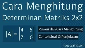 Cara Menghitung Determinan Matriks 2x2