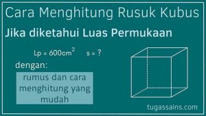 Cara-Menghitung-Rusuk-Kubus-jika-diketahui-Luas-Permukaan Cara Menghitung Rusuk Kubus