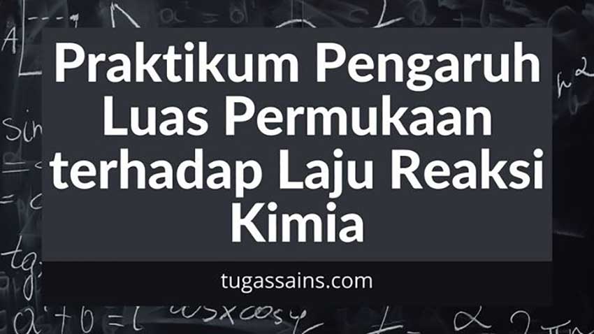 Praktikum-Pengaruh-Luas-Permukaan-terhadap-Laju-Reaksi-Kimia Praktikum Pengaruh Luas Permukaan terhadap Laju Reaksi Kimia