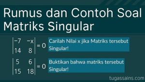 Rumus-dan-Contoh-Soal-Matriks-Singular Rumus dan Contoh Soal Matriks Singular