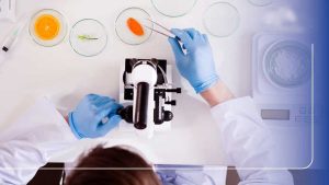 Fakta,-Konsep,-Teori,-Rumus,-Prinsip,-Hukum,-dan-Model-dalam-Fisika Fakta, Konsep, Teori, Rumus, Prinsip, Hukum, dan Model dalam Fisika