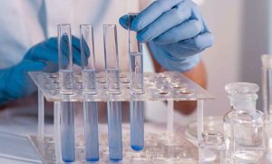 Langkah-Paling-Akhir-dalam-Melakukan-Metode-Ilmiah Langkah Paling Akhir dalam Melakukan Metode Ilmiah